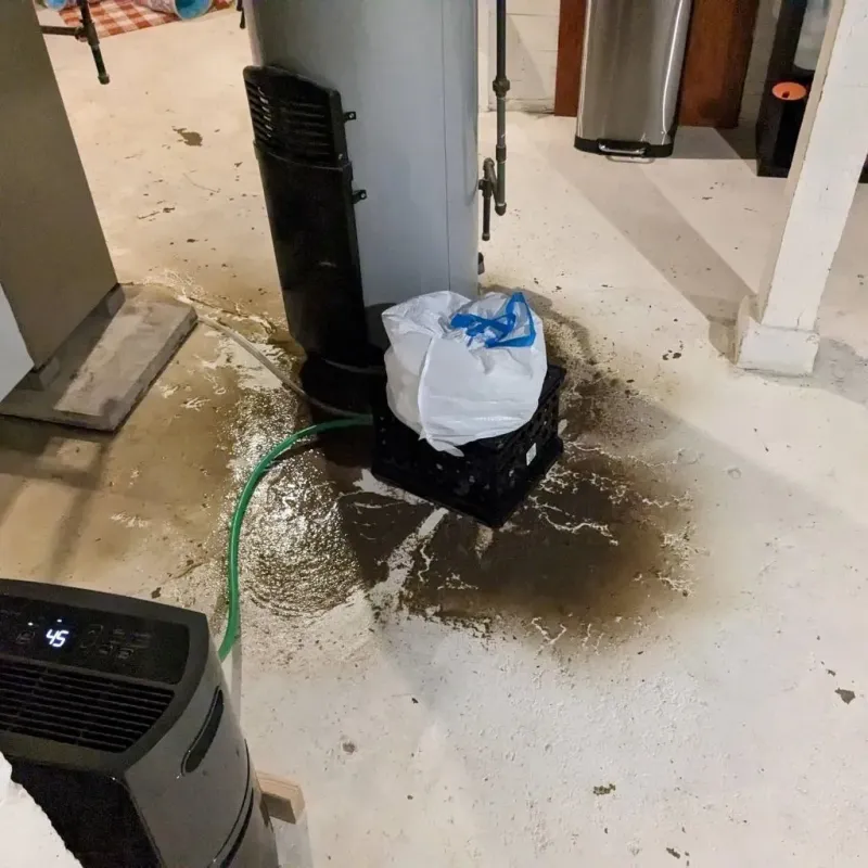 Sewage Backup Cleanup Service in Huber Heights, OH